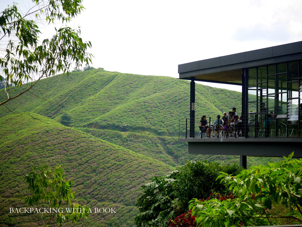 Cameron Highlands Travel Guide: Itinerary, Budget, And Accommodation