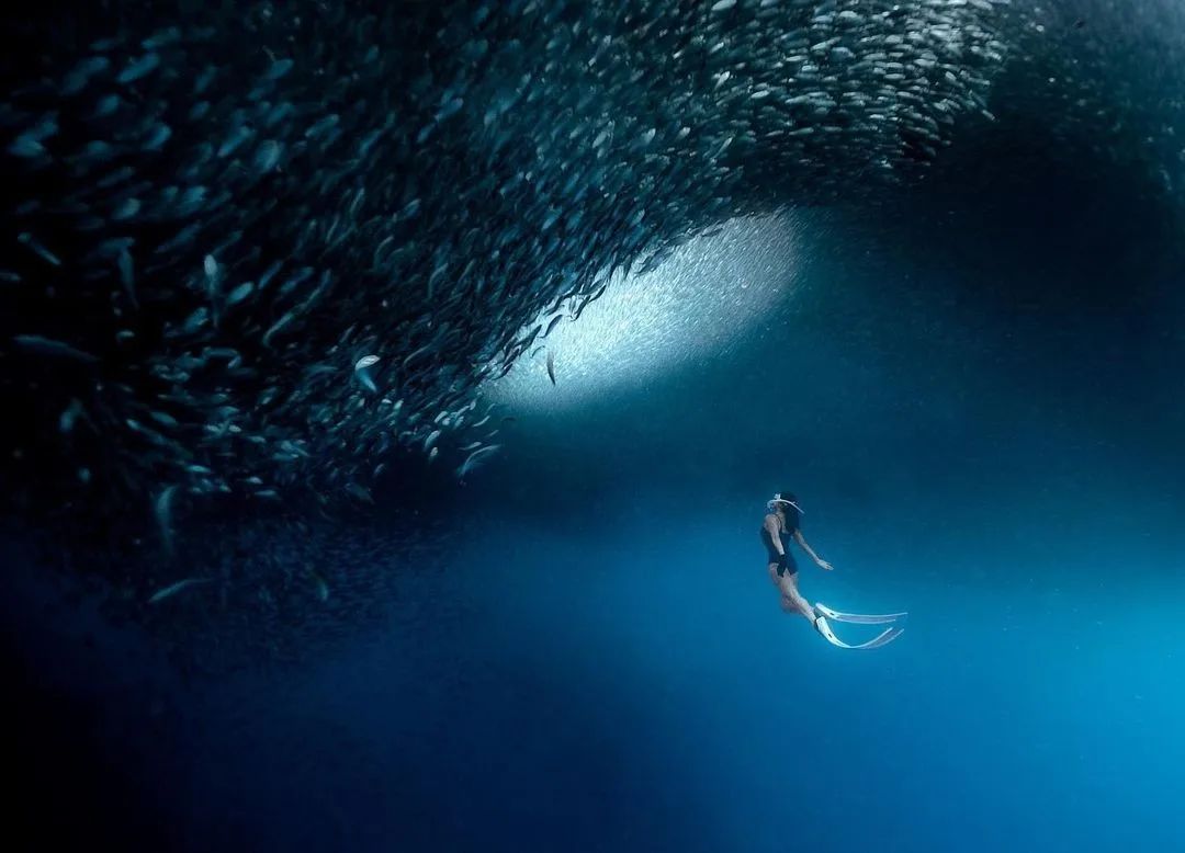 https://backpackingwithabook.com/wp-content/uploads/2022/08/%40run.away_mermaid-moalboal-sardine-run.jpg