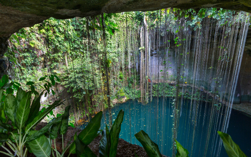 Experience the 20 Awesome and the Best Cenotes in Tulum